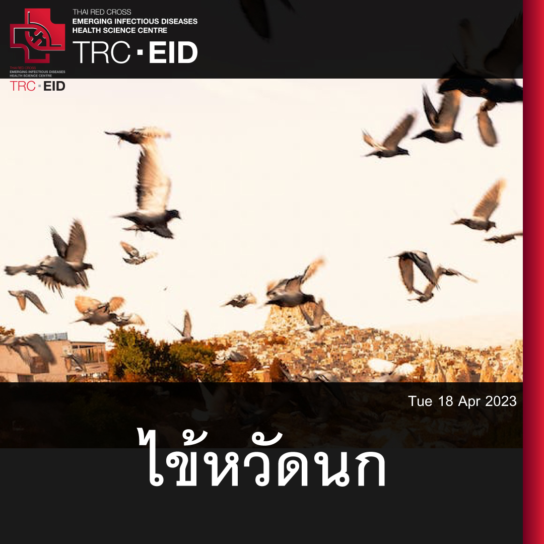 # ไข้หวัดนก, มนุษย์ (14): H5N1 [NYT, CDC]