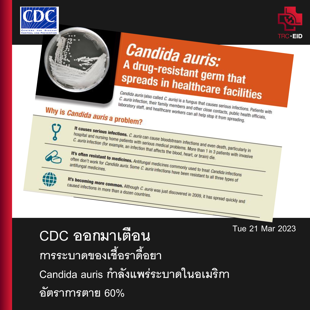 CDC ออกมาเตือนการระบาดของเชื้อราดื้อยา