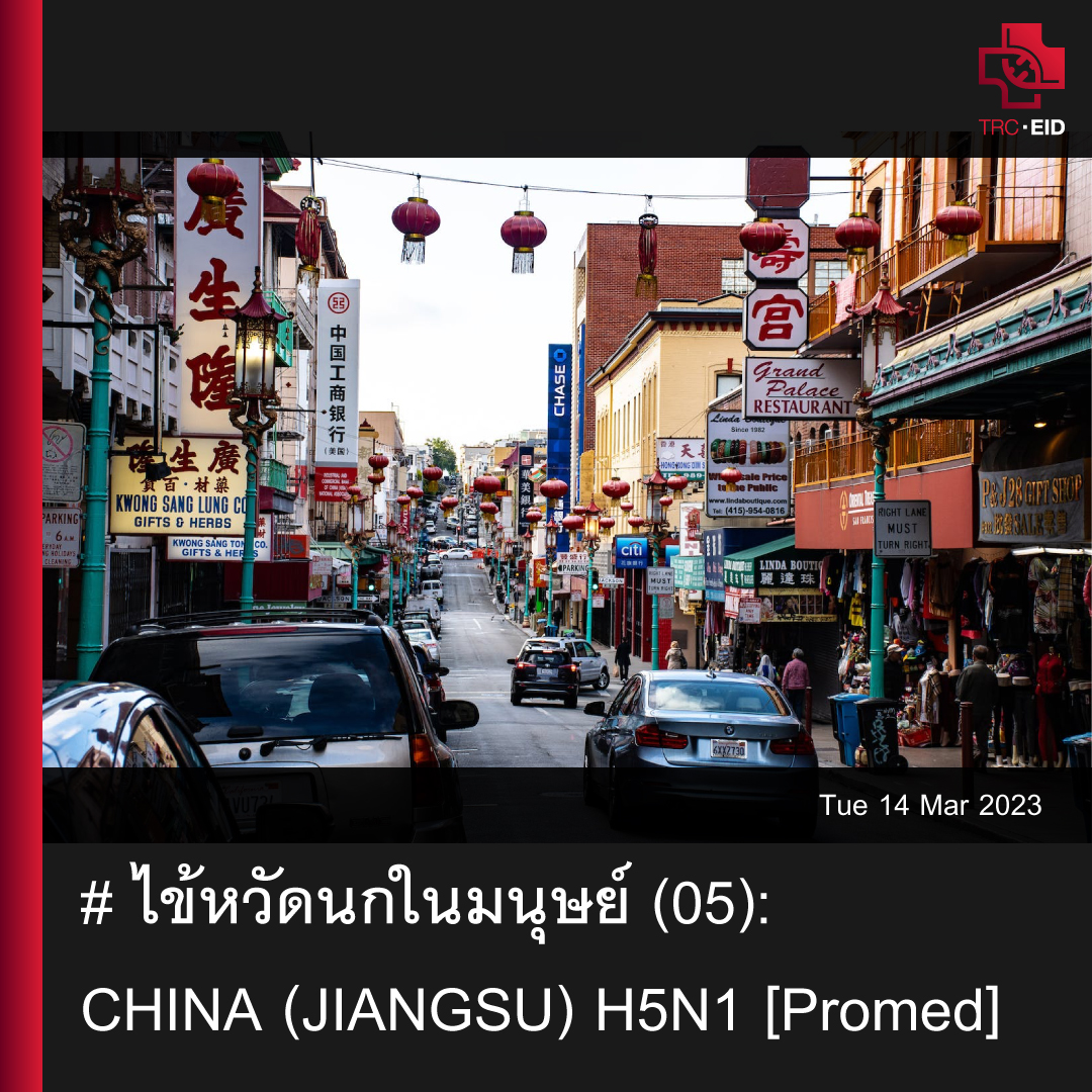 # ไข้หวัดนกในมนุษย์ (05): CHINA (JIANGSU) H5N1 [Promed]