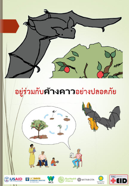 Thai Bat Book Small